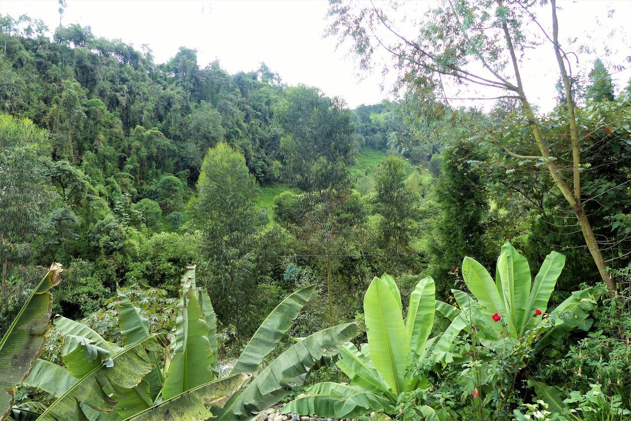 Hotel Termales Tierra Viva La Enea ภายนอก รูปภาพ