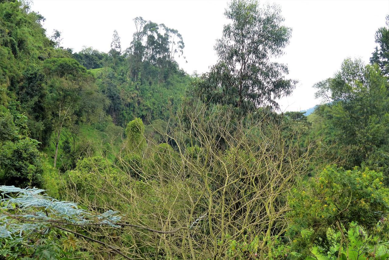Hotel Termales Tierra Viva La Enea ภายนอก รูปภาพ