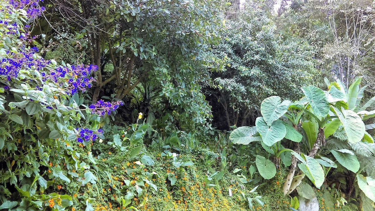 Hotel Termales Tierra Viva La Enea ภายนอก รูปภาพ